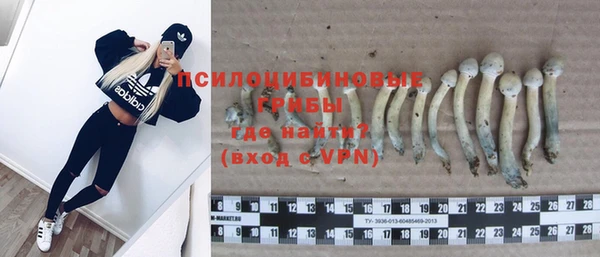 амф Новозыбков