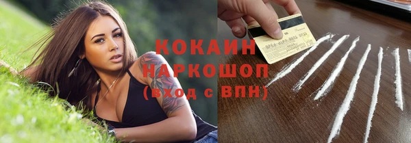 молекула духа Новодвинск