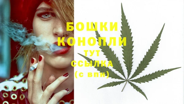 молекула духа Новодвинск