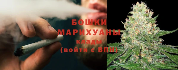 молекула духа Новодвинск