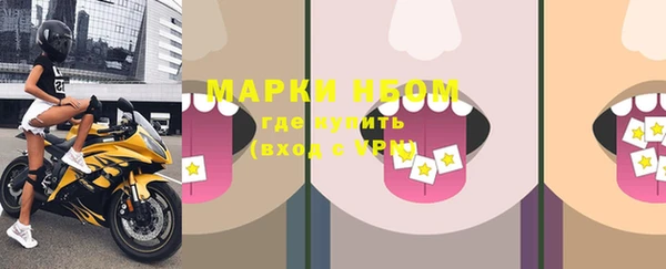 твердый Новокубанск