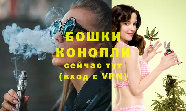 молекула духа Новодвинск