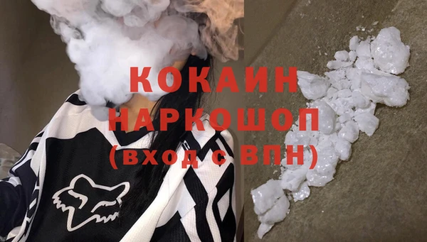 амф Новозыбков