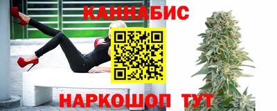 МДПВ Будённовск