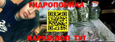 PSILOCYBIN Бийск