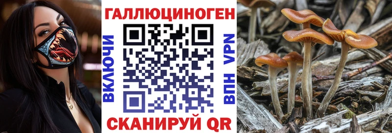 Галлюциногенные грибы мицелий  как найти закладки  Ессентуки 