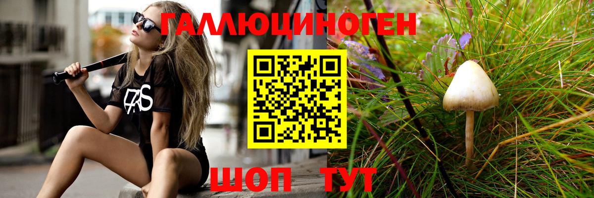 Ессентуки  Галлюциногенные грибы Magic Shrooms  Вход с VPN 