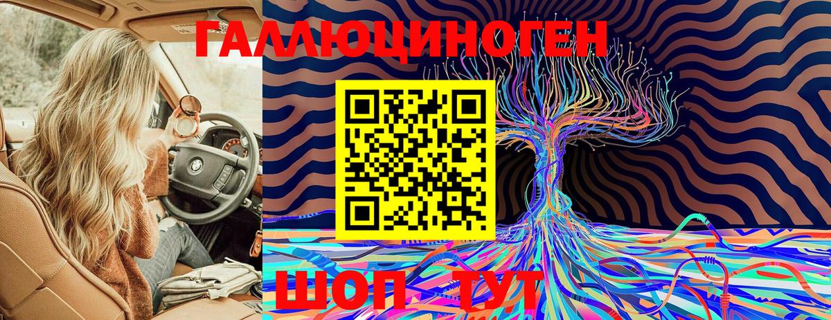 Псилоцибиновые грибы Psilocybe  цены   Ессентуки  Галлюциногенные грибы MAGIC MUSHROOMS 