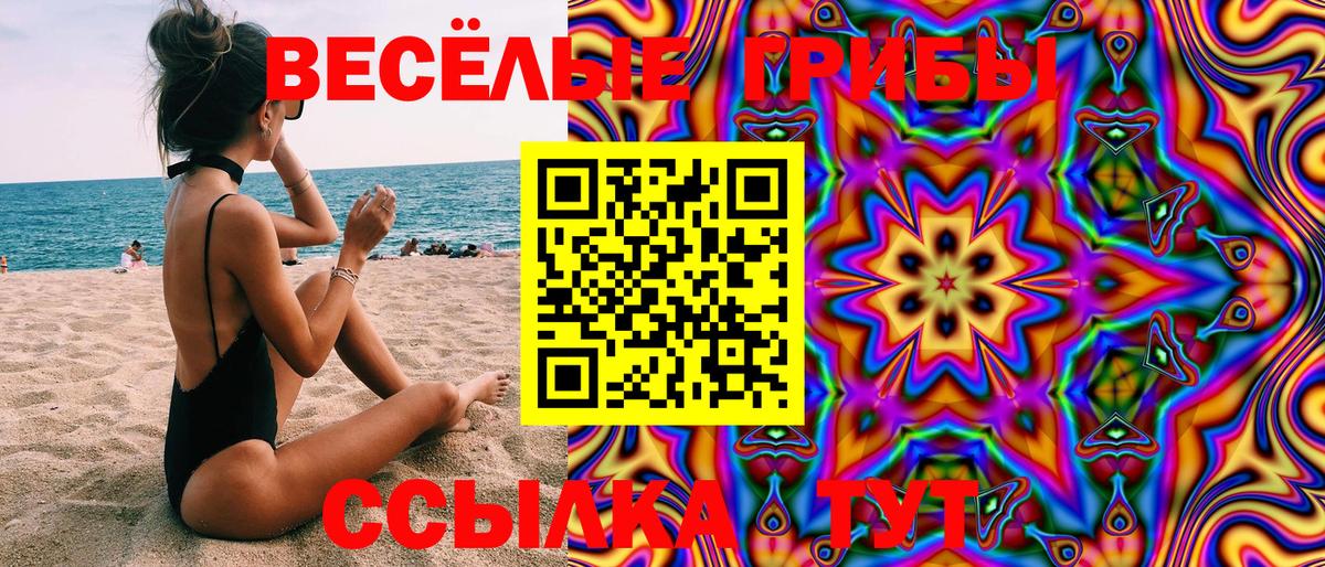 Псилоцибиновые грибы мицелий Ессентуки